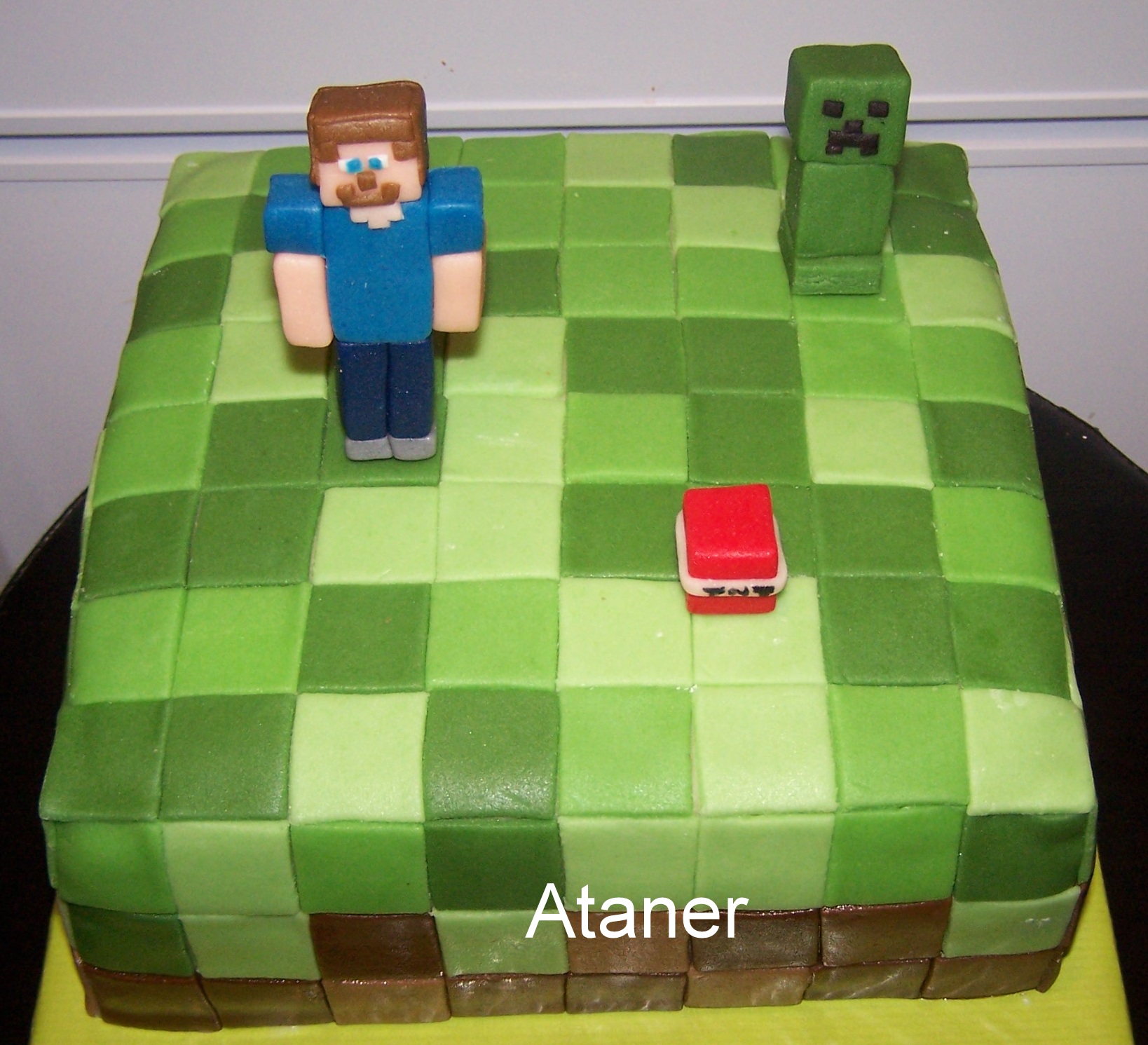 MINECRAFT (3)