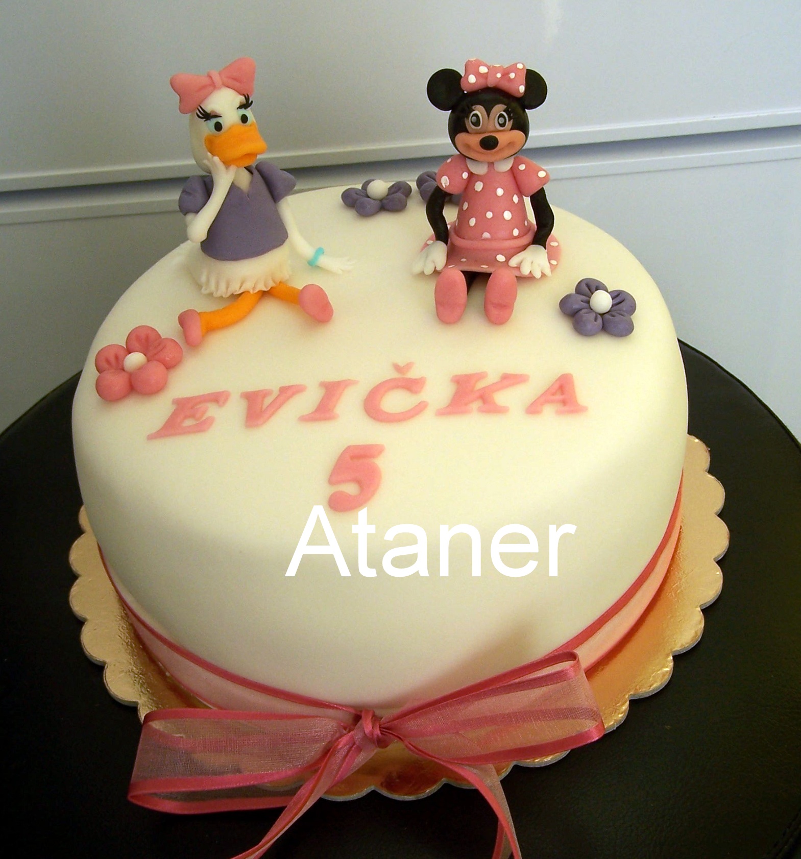 MINNIE (5)