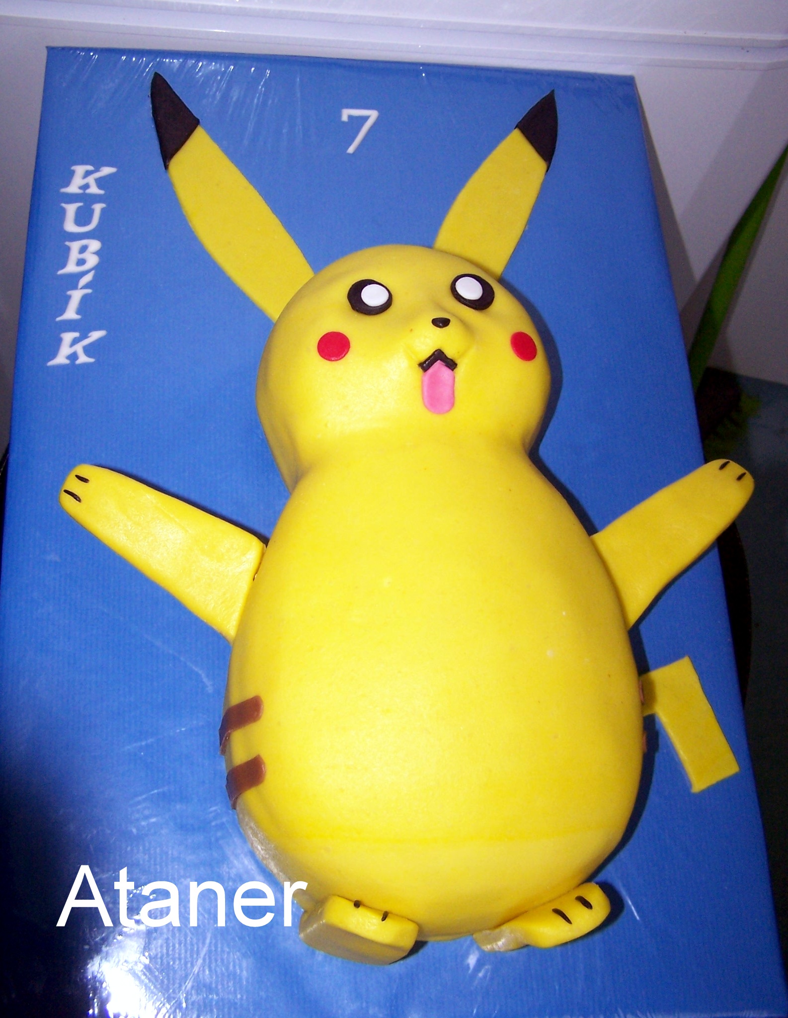 pokémon