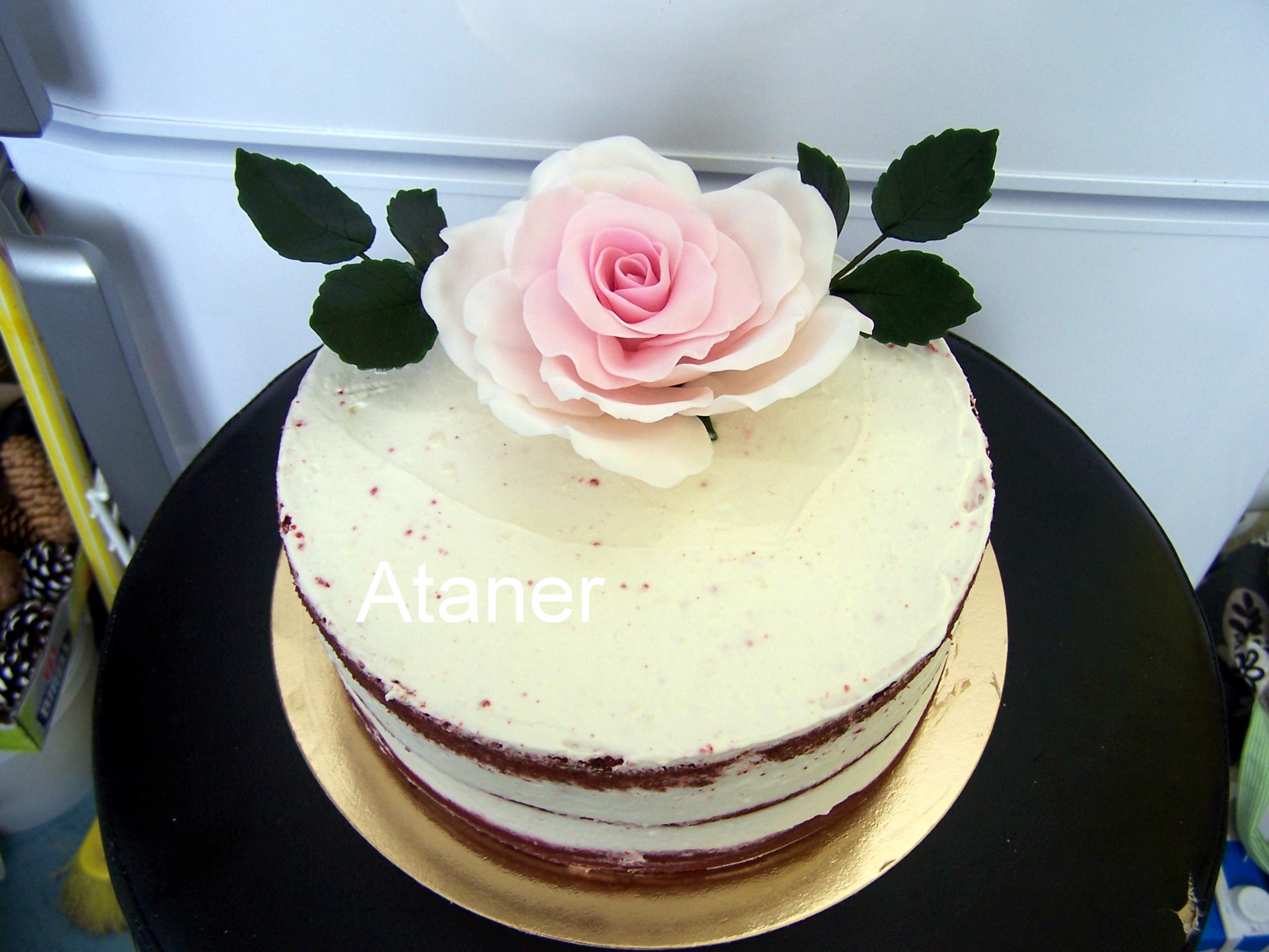 red velvet s růží