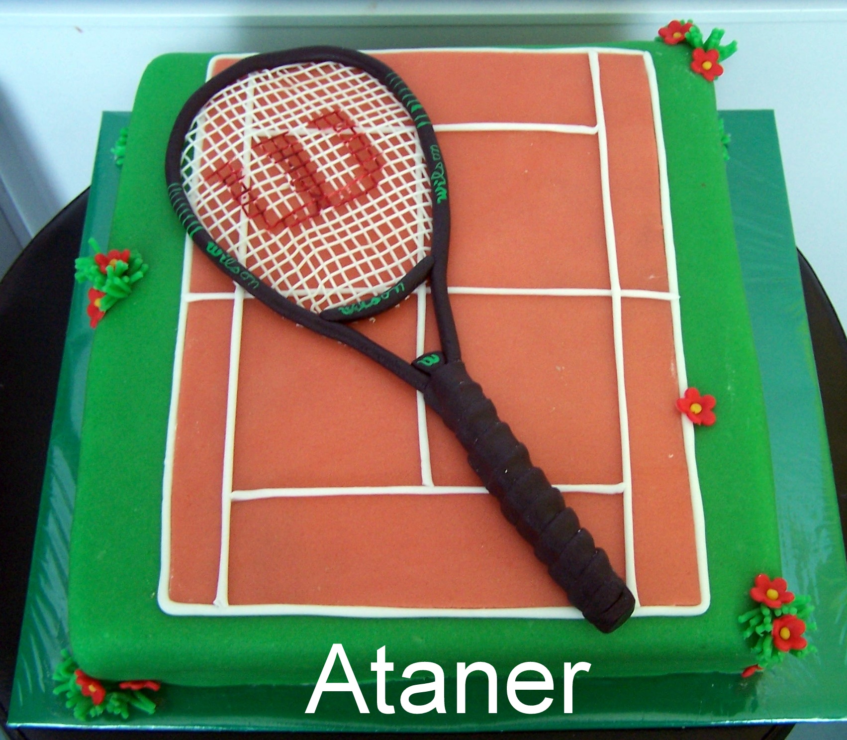 tenis (2)