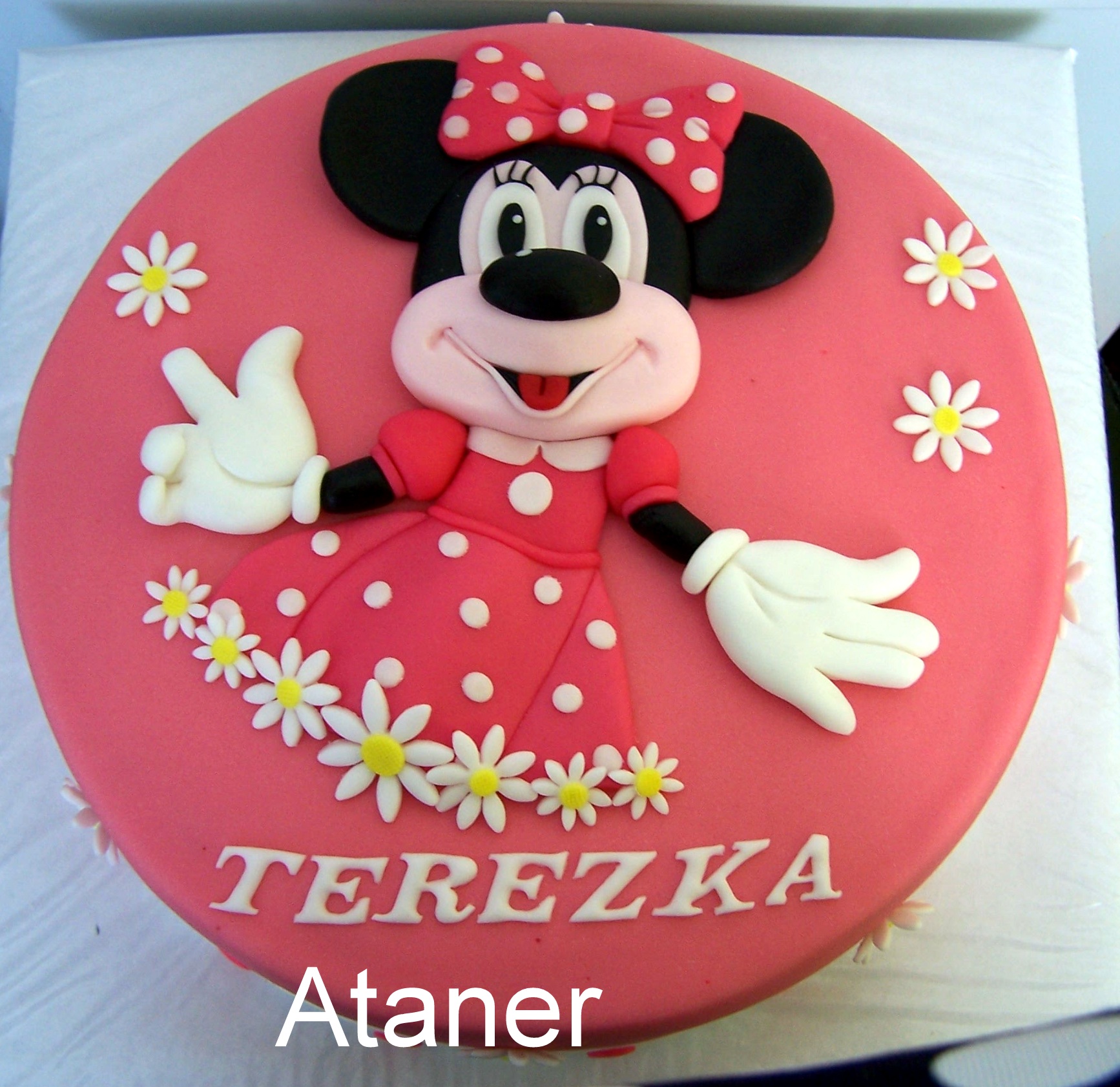 MINNIE (6)