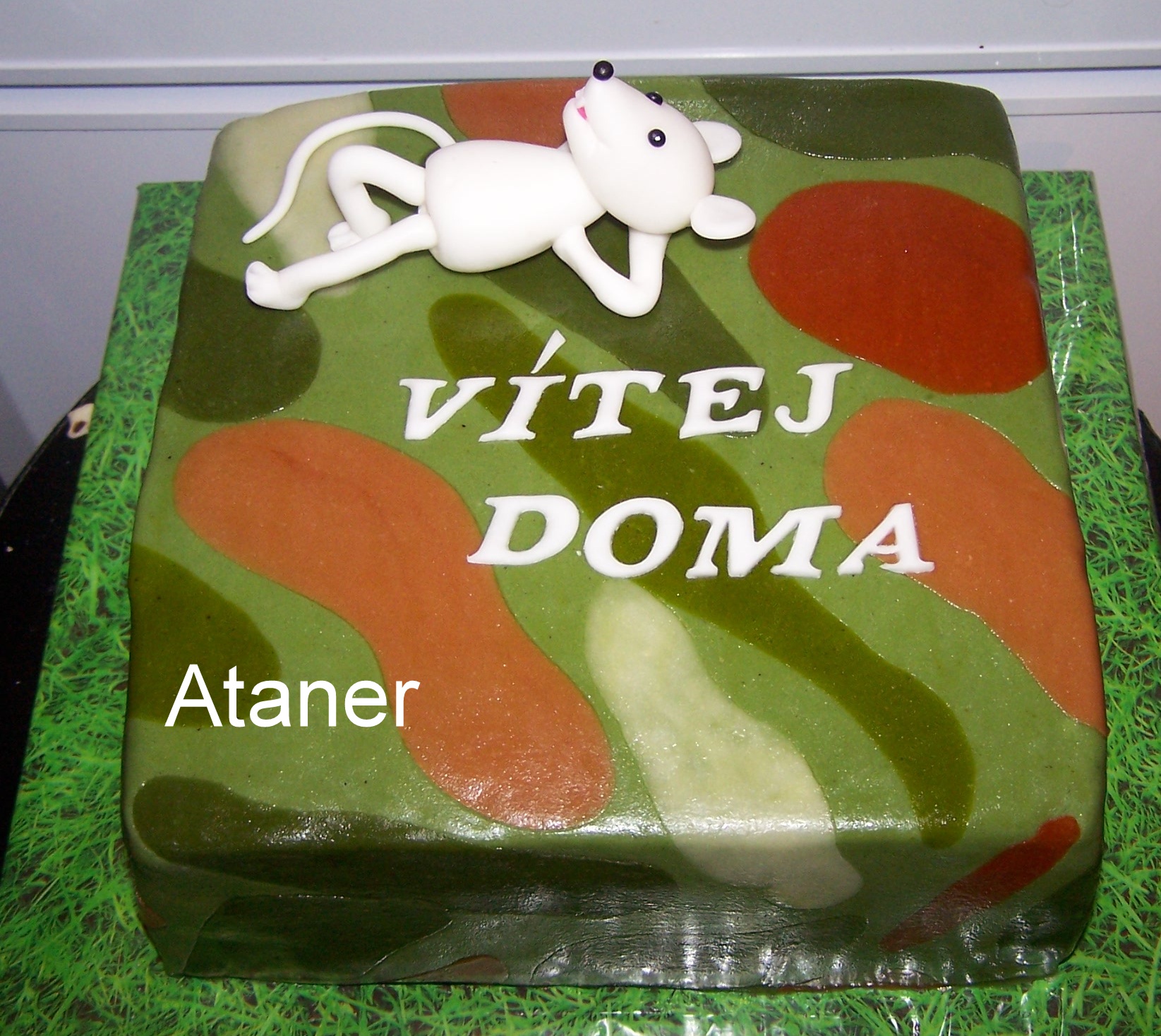 pro vojáka