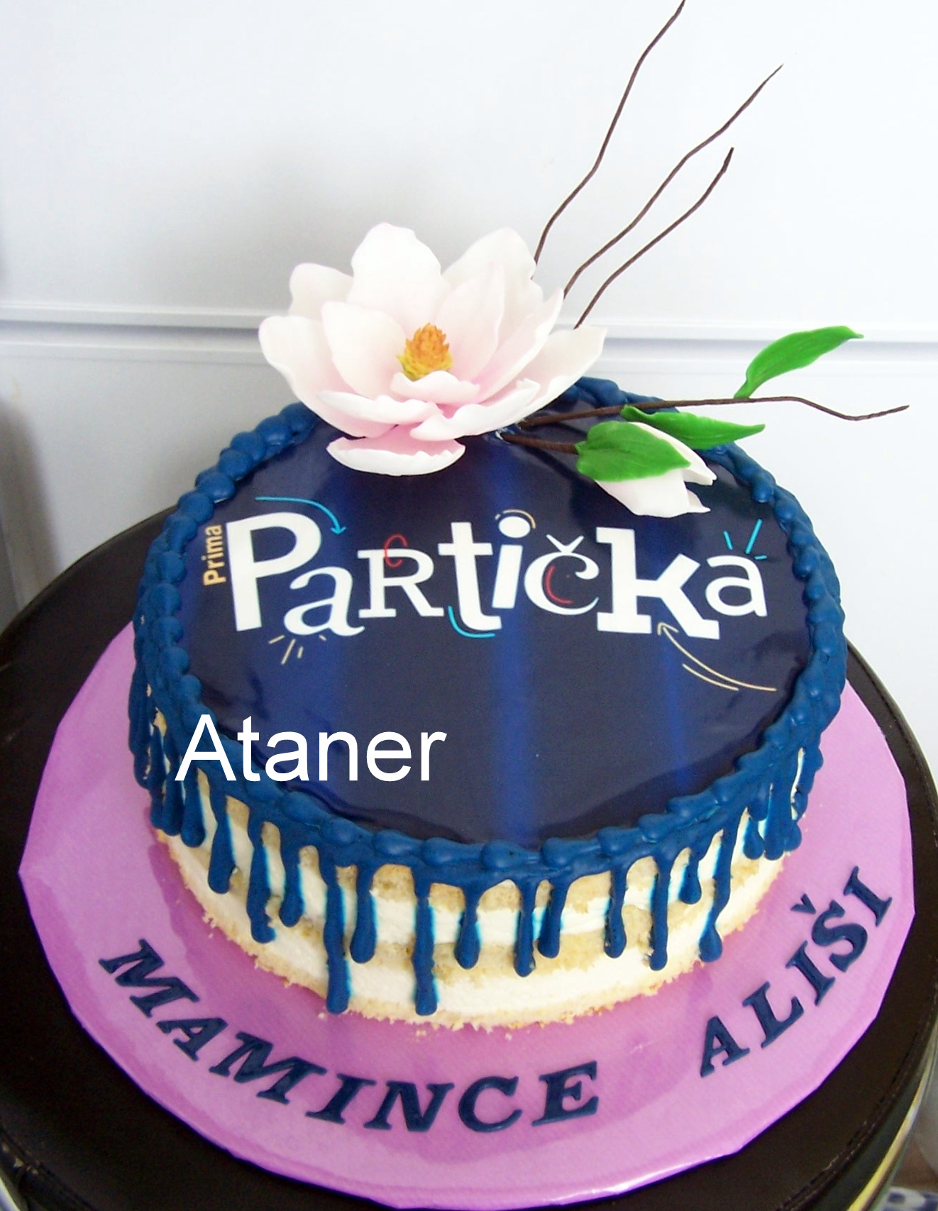 Partička