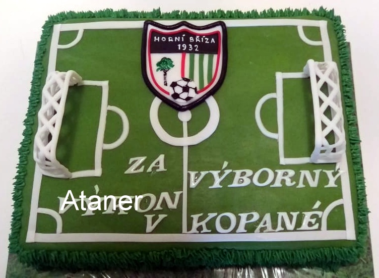 fotbalový (2)