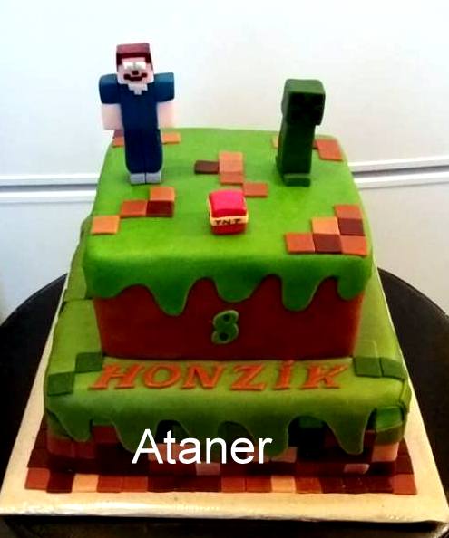 minecraft (8)