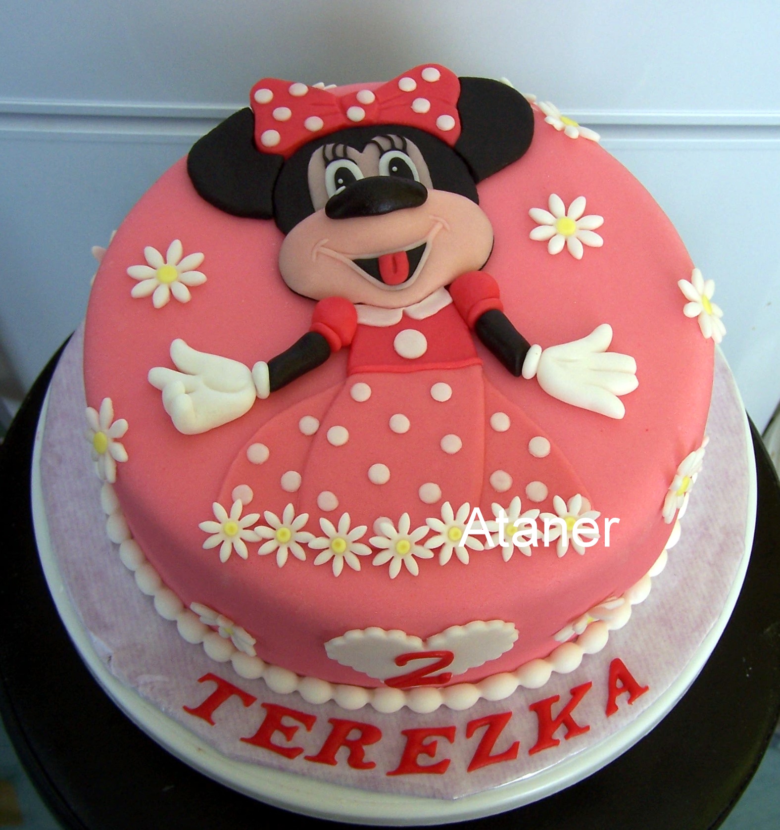 Minnie (8)