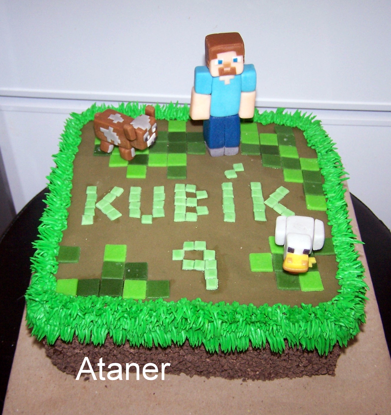 minecraft (9)