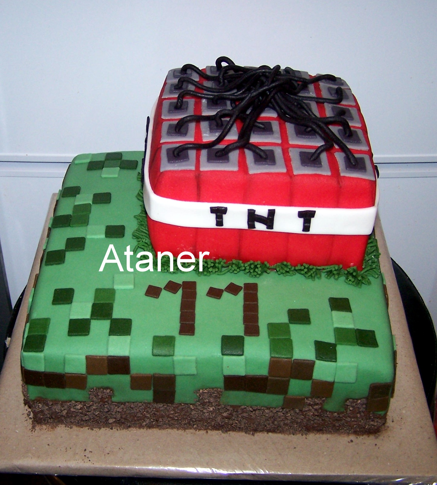 minecraft (10)