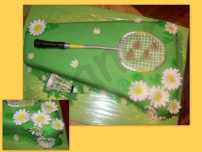 bedmintonová pálka