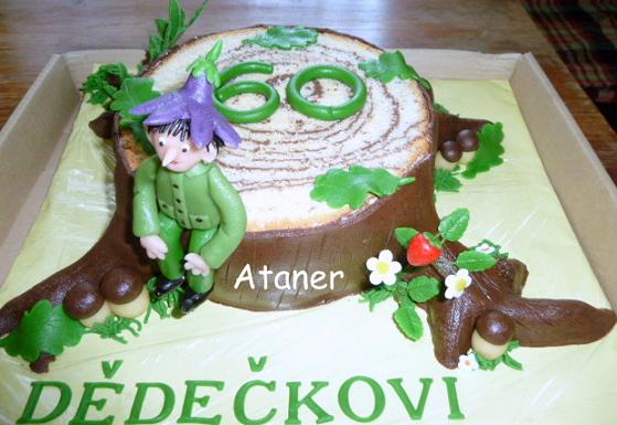 pařez4
