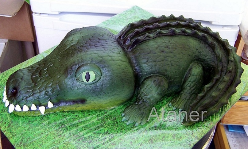 krokodýl